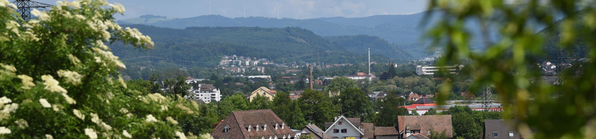 Blick auf Wiesental Richtung Schopfheim