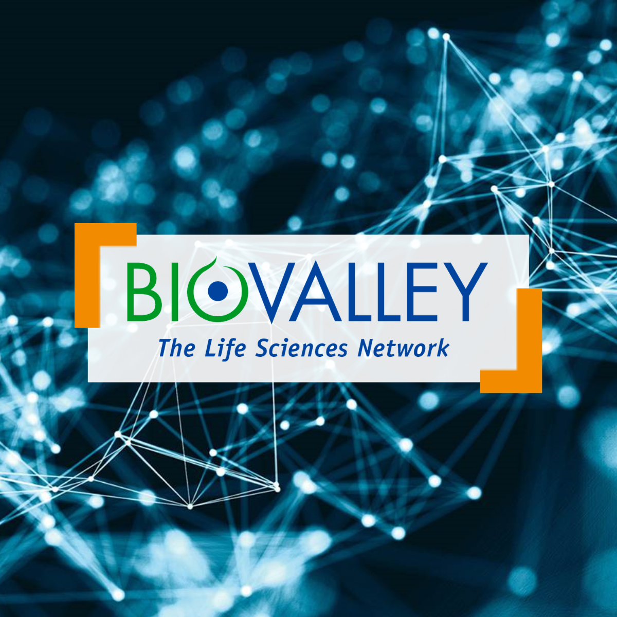 BioValley-Treffpunkt Lörrach: Nachhaltige Diagnostik neu gedacht
